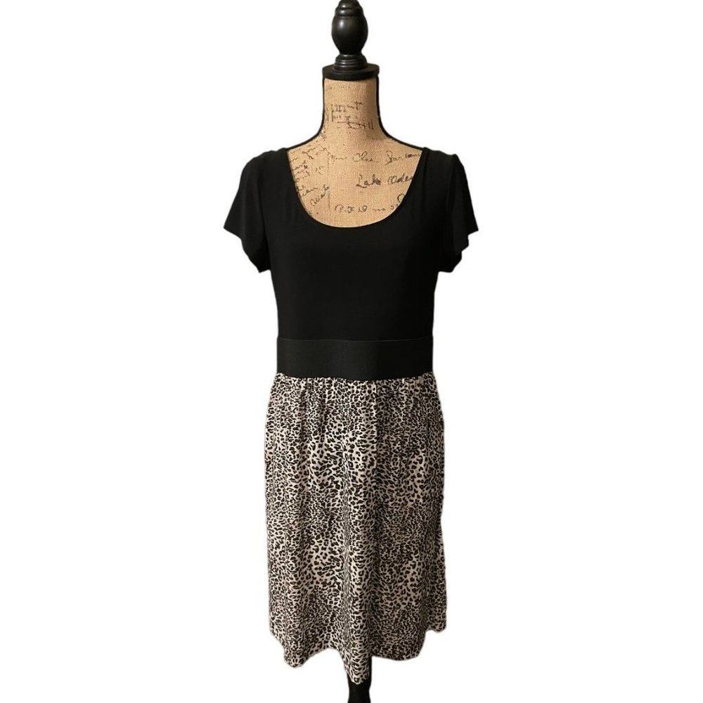 Fashion Bug Dress‎
